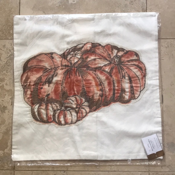 NWT Pottery Barn Harvest Pumpkin Pillow Cover 20” - Picture 2 of 5